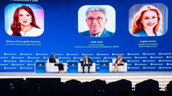 نجيب صعب: جعل الطاقة المتجددة أقل كلفة من الوقود الأحفوري مفتاح لتسريع التحول الطاقي