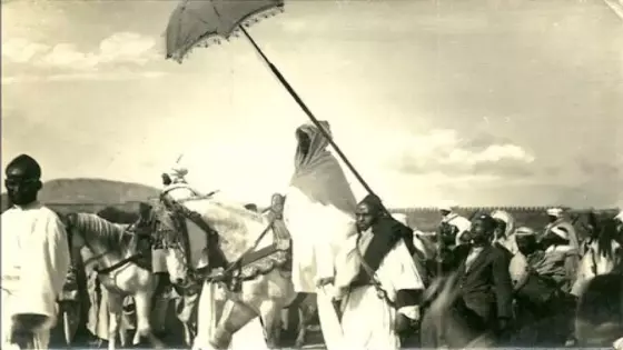 سلطان الطلبة